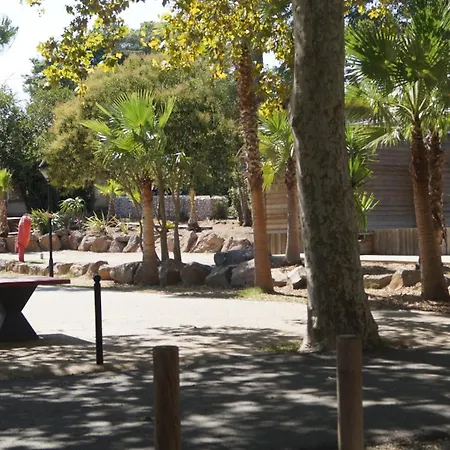 キャンプ場 Mobile-home 7 Fonts アグド