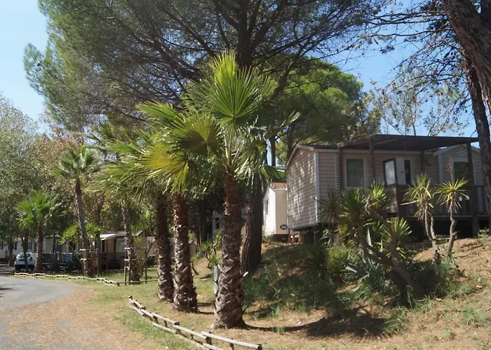 Кемпинг Mobile-home 7 Fonts Агд